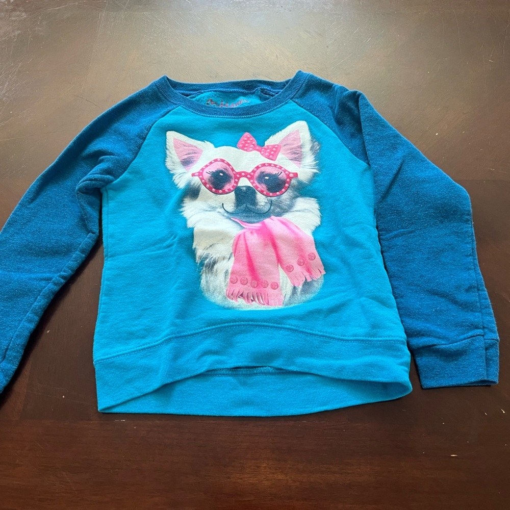 Hanes Blue and Pink Long Sleeve Tee with Graphic Design